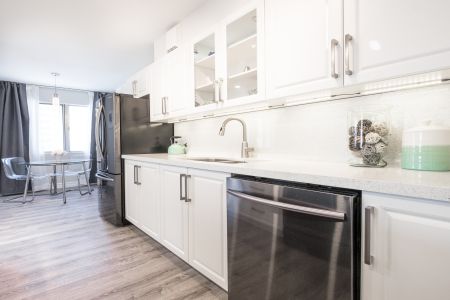 Toronto Kitchen Cabinets